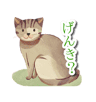 水彩画ねこ（個別スタンプ：16）