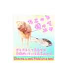 我々動物連盟は代弁する vol.2 日常の挨拶（個別スタンプ：25）