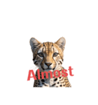 チーター2 Cheetah（個別スタンプ：11）