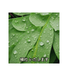 職場で使える敬語植物（個別スタンプ：5）