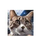 動く宇宙猫 2 space cat（個別スタンプ：1）