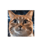 動く宇宙猫 2 space cat（個別スタンプ：5）