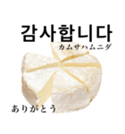カマンベールチーズ 韓国語（個別スタンプ：2）
