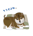 胡麻柴 「めろ」と暮す日々（柴犬）Revised（個別スタンプ：4）