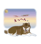 胡麻柴 「めろ」と暮す日々（柴犬）Revised（個別スタンプ：14）