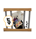 うどんくん1（個別スタンプ：12）