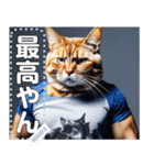 【筋肉ねこ】マッチョすぎる猫・関西弁（個別スタンプ：1）