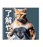 【筋肉ねこ】マッチョすぎる猫・関西弁（個別スタンプ：2）