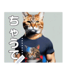【筋肉ねこ】マッチョすぎる猫・関西弁（個別スタンプ：11）