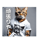 【筋肉ねこ】マッチョすぎる猫・関西弁（個別スタンプ：12）