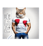 【筋肉ねこ】マッチョすぎる猫・関西弁（個別スタンプ：15）