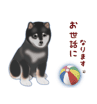 黒柴「やまと」と暮す日々（柴犬）Revised（個別スタンプ：3）