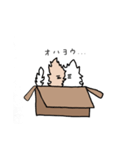 箱猫ちゃん（個別スタンプ：4）