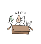 箱猫ちゃん（個別スタンプ：28）