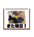 ボルダリングと私（個別スタンプ：7）