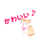 かわいい猫の日常のあいさつ。（個別スタンプ：11）