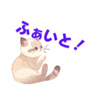 かわいい猫の日常のあいさつ。（個別スタンプ：16）