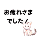 かわいい猫の日常のあいさつ。（個別スタンプ：40）