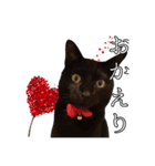 黒猫のジジくんの日常会話（個別スタンプ：9）