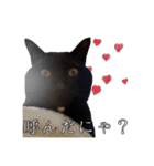 黒猫のジジくんの日常会話（個別スタンプ：20）