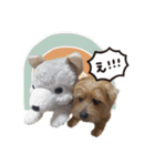 Maro's Happy Dog Life！！（個別スタンプ：6）