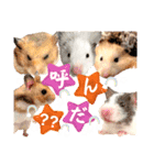 可愛い家族*（個別スタンプ：11）