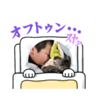 あこ魔女珍遊記8（個別スタンプ：6）