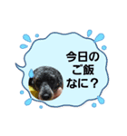 あこ魔女珍遊記8（個別スタンプ：7）