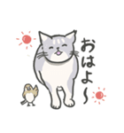 保護猫のほたるちゃん（個別スタンプ：1）