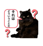 黒猫 ルナ院長138にゃんめ（個別スタンプ：6）