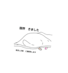 ごめんなさいなときのねこ（個別スタンプ：1）
