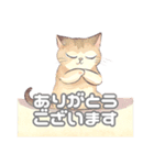 優しい色の猫*（個別スタンプ：1）