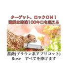 花言葉の国の猫妖精 1（個別スタンプ：2）