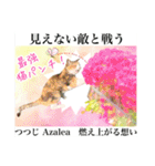 花言葉の国の猫妖精 1（個別スタンプ：17）