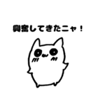 そんなことよりねこを見てよ（個別スタンプ：34）