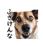 汎用性が高い犬様【変顔・可愛い】（個別スタンプ：3）