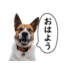 汎用性が高い犬様【変顔・可愛い】（個別スタンプ：7）