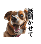 汎用性が高い犬様【変顔・可愛い】（個別スタンプ：31）