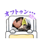 あこ魔女珍遊記6（個別スタンプ：6）
