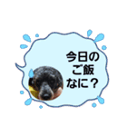 あこ魔女珍遊記6（個別スタンプ：7）
