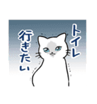 あなたに必要なねこ（個別スタンプ：36）