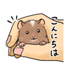 ふわっとテディマウス（個別スタンプ：3）