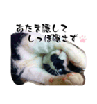 ニャンチュウの1日（個別スタンプ：7）