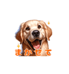 愛犬ゴールデンレトリバーといっしょ2（個別スタンプ：2）