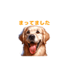 愛犬ゴールデンレトリバーといっしょ2（個別スタンプ：6）