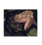みしょっぺスペシャル（個別スタンプ：4）