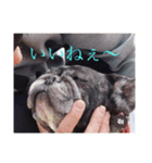みしょっぺスペシャル（個別スタンプ：6）