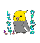 自由なオカメインコ Re（個別スタンプ：28）