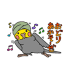 自由なオカメインコ Re（個別スタンプ：34）