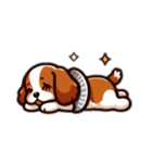 Cavalier for every mood！ キャバリア♡（個別スタンプ：3）
